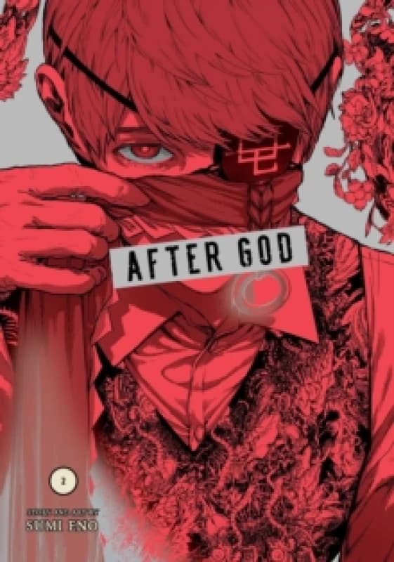 After God, Vol. 2 Paperback / softback