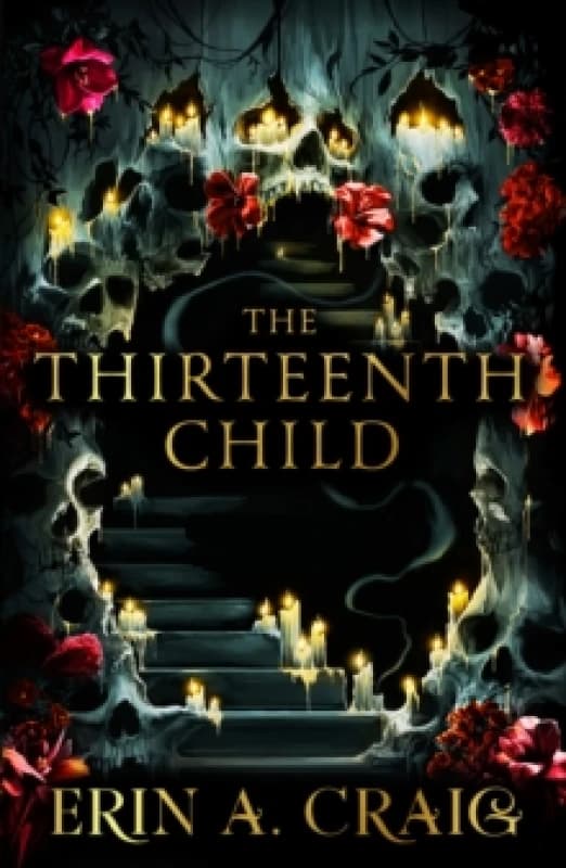 The Thirteenth Child : The Number 1 New York Times Bestseller Paperback / softback
