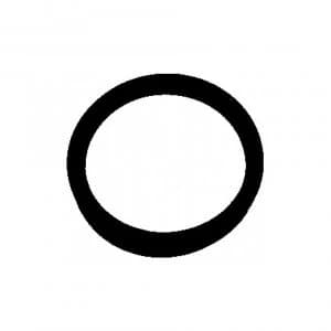 Thermostat Gasket ELRING 394.090