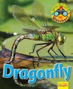 Wildlife Watchers Dragonfly 2017 by Ruth Owen Paperback