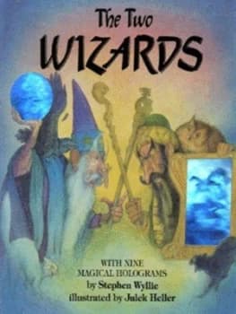 The Two Wizards by Stephen Wyllie and Julek Heller Hardback