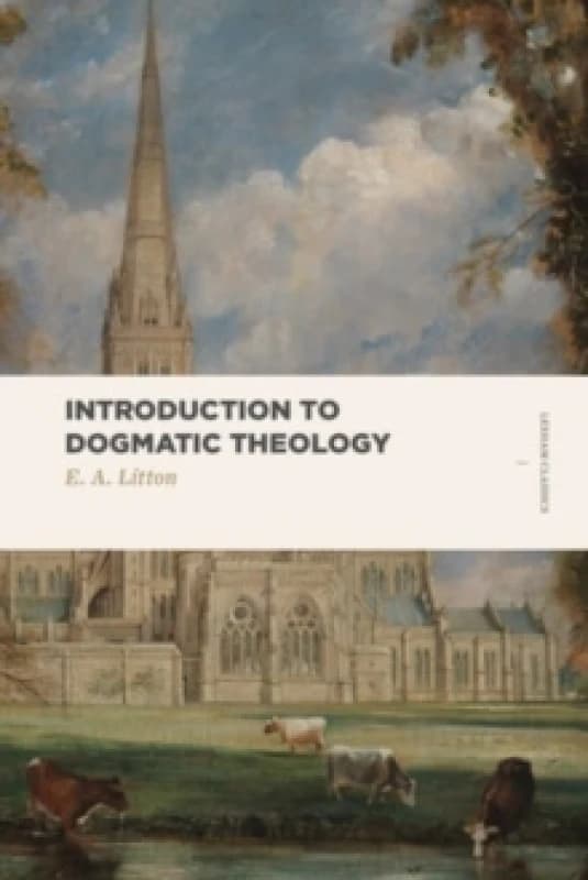 Introduction to Dogmatic Theology Paperback / softback