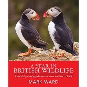 YEAR IN BRITISH WILDLIFE A Paperback 2018