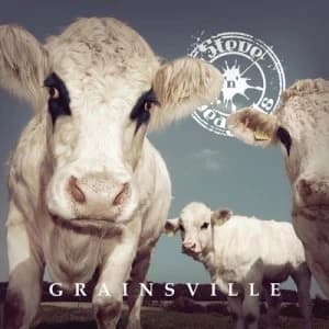 Grainsville by Steve 'n' Seagulls CD Album