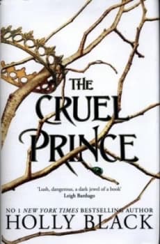 The Cruel Prince by Holly Black Hardback