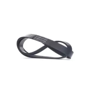 RIDEX V-ribbed belt VW,AUDI,SKODA 305P0549 06F903137L,9676560280,31110P5K003 31110P5K004,252122B030,252122B030,P30115909C,1340A131,119201F700,96765602