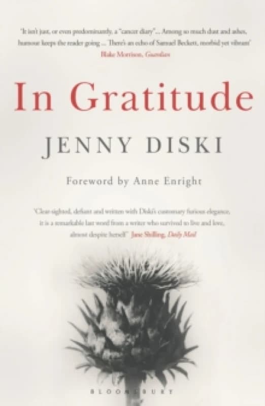 In Gratitude Paperback / softback
