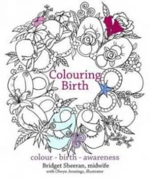 Preparing for Birth by Bridget Sheeran Paperback