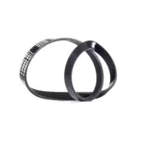 RIDEX V-ribbed belt OPEL,NISSAN,HONDA 305P0354 60575209,60808219,60809019 31110P73A01,31110PR50030,60575209,MD180574,MD192808,1195041B00,1195041B01