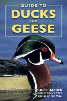 Guide to Ducks and Geese by Chuck Hagner Paperback