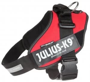 Julius-K9 IDC Power Harness - Red 2