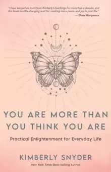 You Are More Than You Think You Are : Practical Enlightenment for Everyday Life