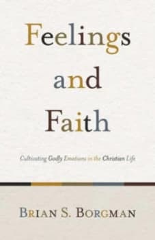 Feelings and Faith by Brian Borgman Book