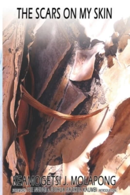 The Scars On My Skin Paperback / softback