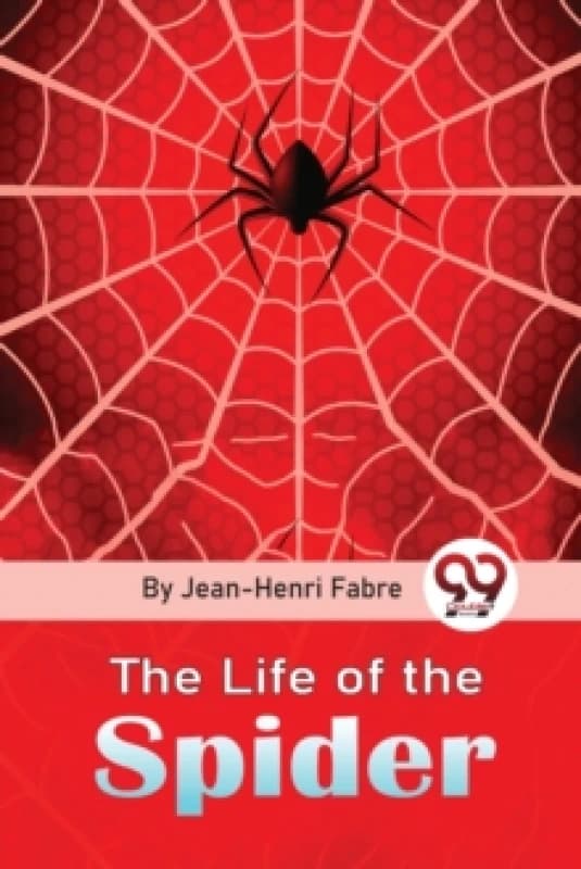 The Life of the Spider Paperback / softback