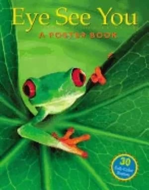 eye see you a poster book
