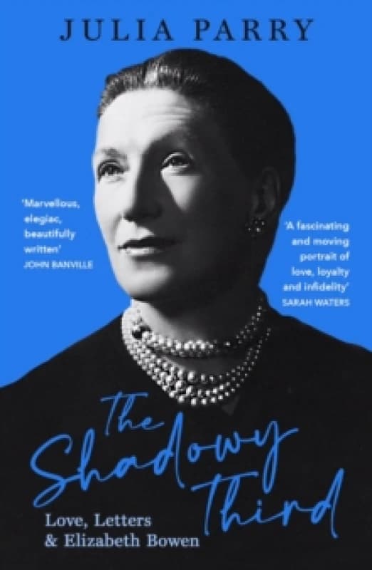 The Shadowy Third. Paperback. By Julia Parry Books