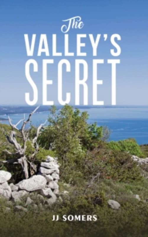The Valley's Secret. Paperback. By JJ Somers Books
