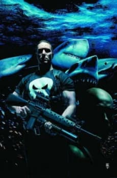 The Punisher by Garth Ennis Hardback
