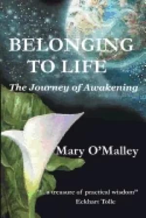 belonging to life the journey of awakening