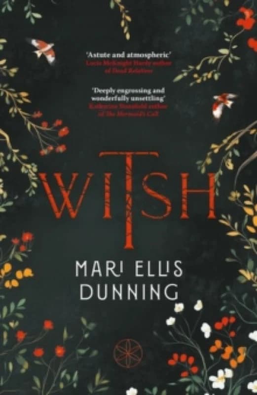 Witsh Paperback / softback