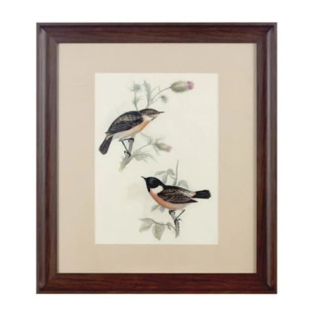 Premier Housewares Framed Birds 2 Wall Art Home Wall Decor Brown