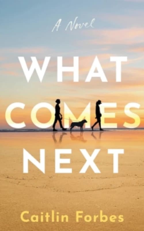 What Comes Next : A Novel Paperback / softback