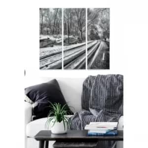 MDF142894 Multicolor Decorative MDF Painting (3 Pieces)