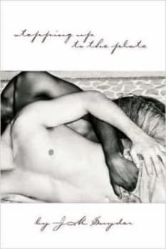 Stepping up to the Plate by J. M Snyder Paperback