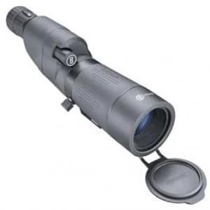 Bushnell Prime 20-60x65 Straight