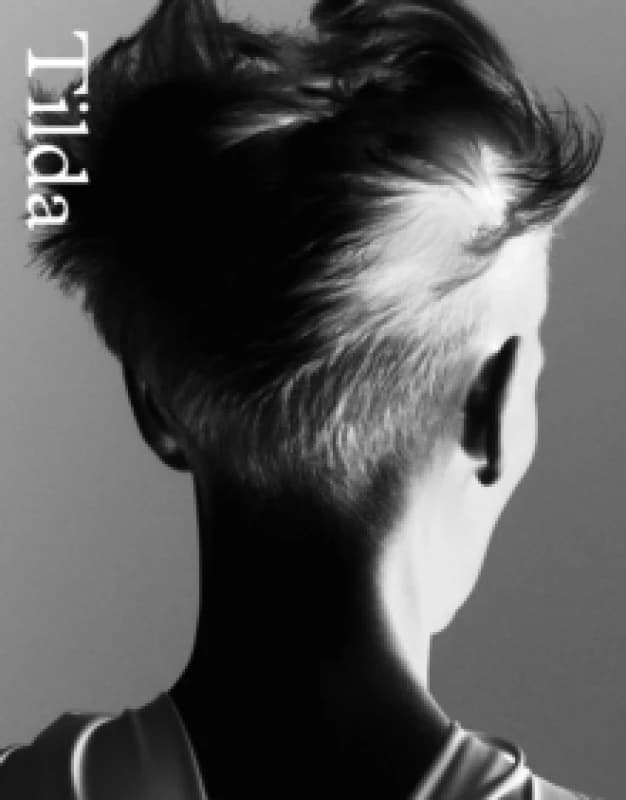 Tilda Swinton. Paperback. By Tilda Swinton, Vincent van Velsen Books