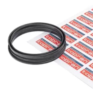 TOPRAN Gaskets 116 126 Seal, fuel sender unit VW,AUDI,SEAT,Golf IV Schragheck (1J1),POLO (9N_),TOURAN (1T1, 1T2)