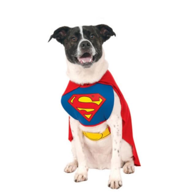 DC comics Superman Dog Costume Red/blue/yellow (L)