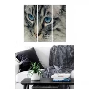 MDF164693 Multicolor Decorative MDF Painting (3 Pieces)