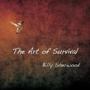 The Art of Survival by Billy Sherwood CD Album