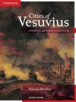 Cities of Vesuvius by Pamela Bradley Paperback