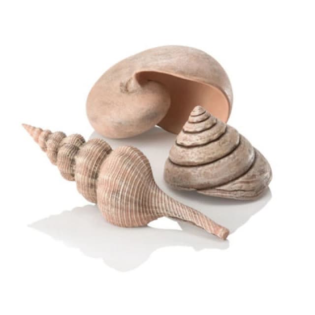 Oase Biorb Sea Shells Natural - Aquarium Fish Tank Ornament