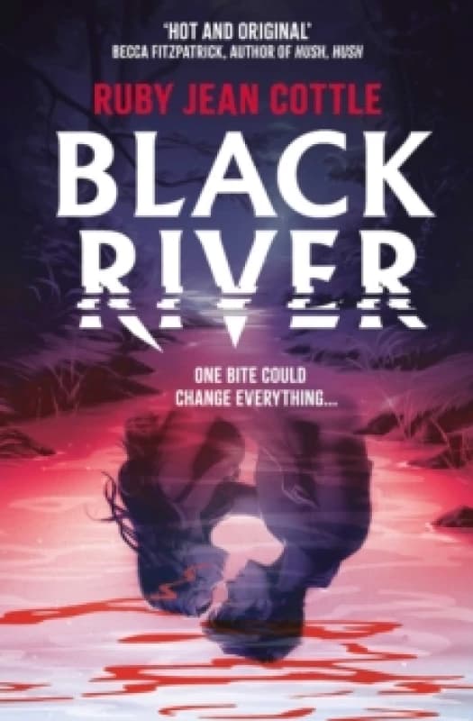 Black River : Volume 1 Paperback / softback