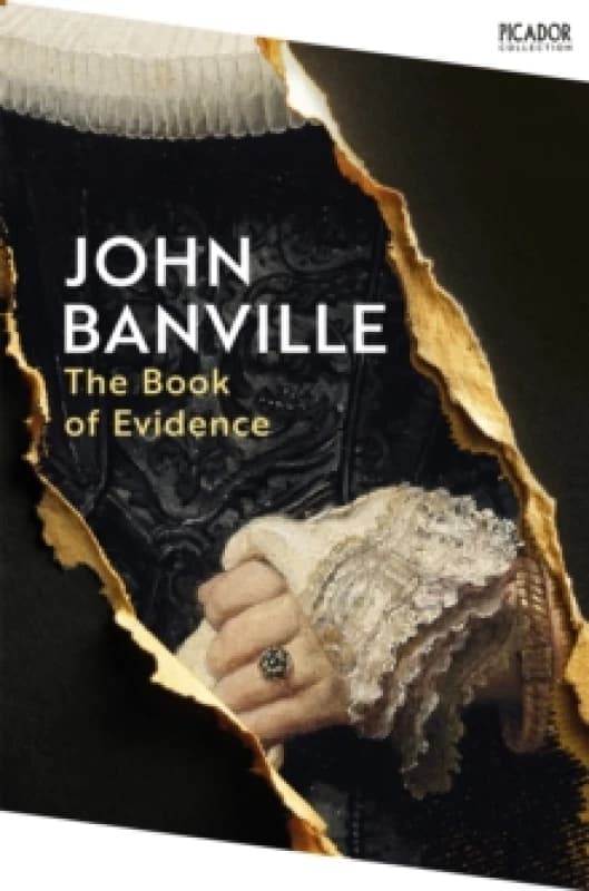 The Book of Evidence. Paperback. By John Banville Books