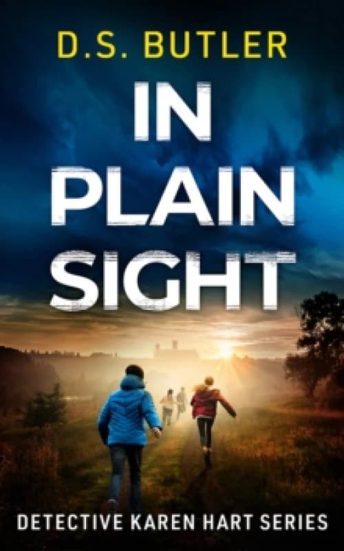 In Plain Sight Paperback / softback