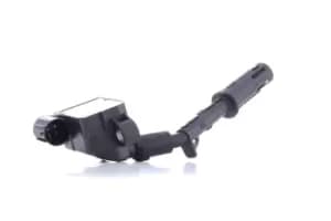 RIDEX Ignition coil SAE 689C0391 Coil pack,Ignition coil pack MERCEDES-BENZ,C-Klasse Limousine (W204),C-Klasse T-modell (S204)