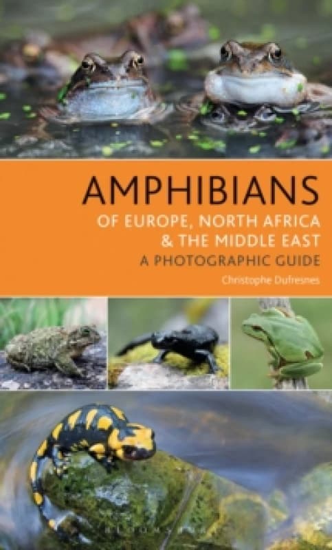 Amphibians of Europe, North Africa and the Middle East : A Photographic Guide Paperback / softback