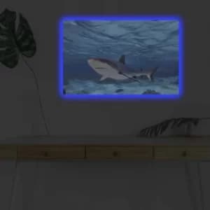 4570DHDACT-030 Multicolor Decorative LED Lighted Canvas Painting