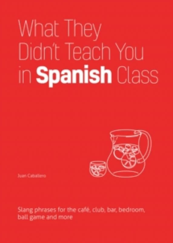 What They Didn't Teach You In Spanish Class : Slang Phrases for the Cafe, Club, Bar, Bedroom, Ball Game and More Paperback / softback