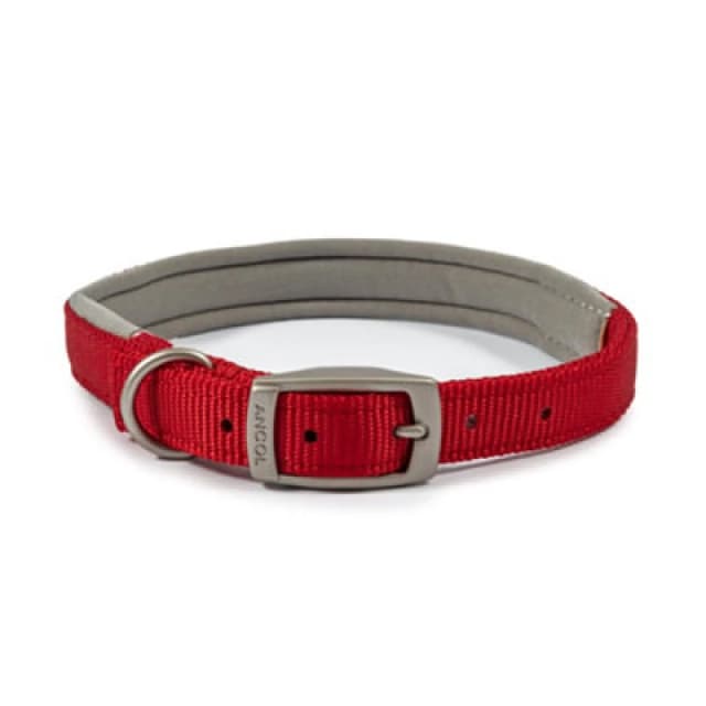 Heritage Nylon Padded Collar Red 25mm X39-48cm Sz 5