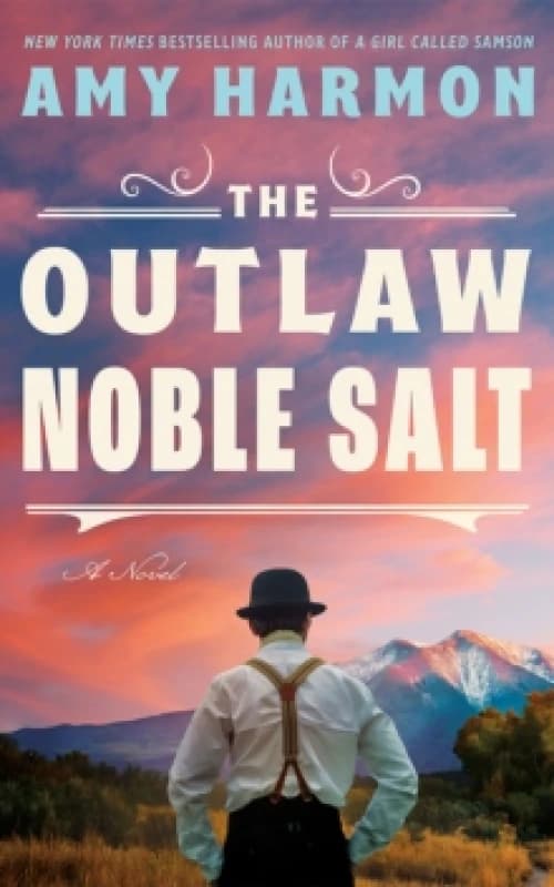The Outlaw Noble Salt : A Novel Paperback / softback