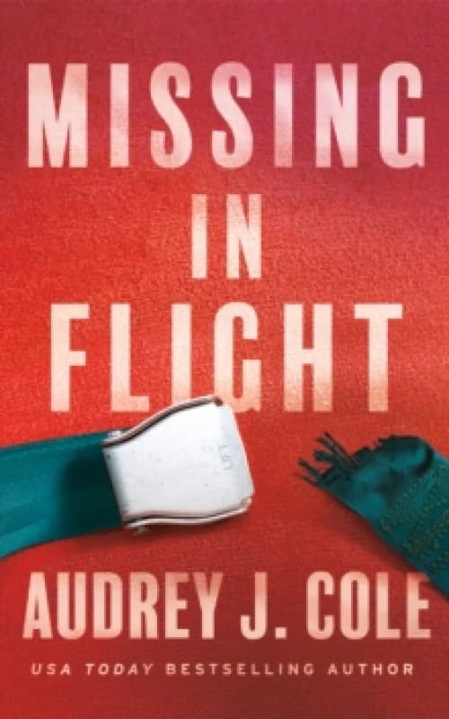 Missing In Flight Paperback / softback