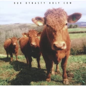 Dub Dynasty - Holy Cow CD