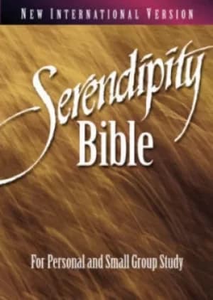 Serendipity Bible by