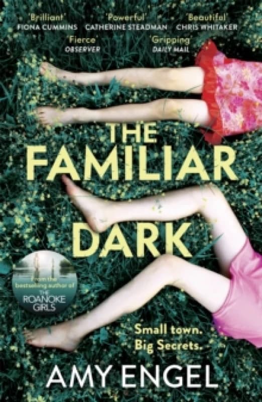 The Familiar Dark : The must-read, utterly gripping thriller you won't be able to put down Paperback / softback